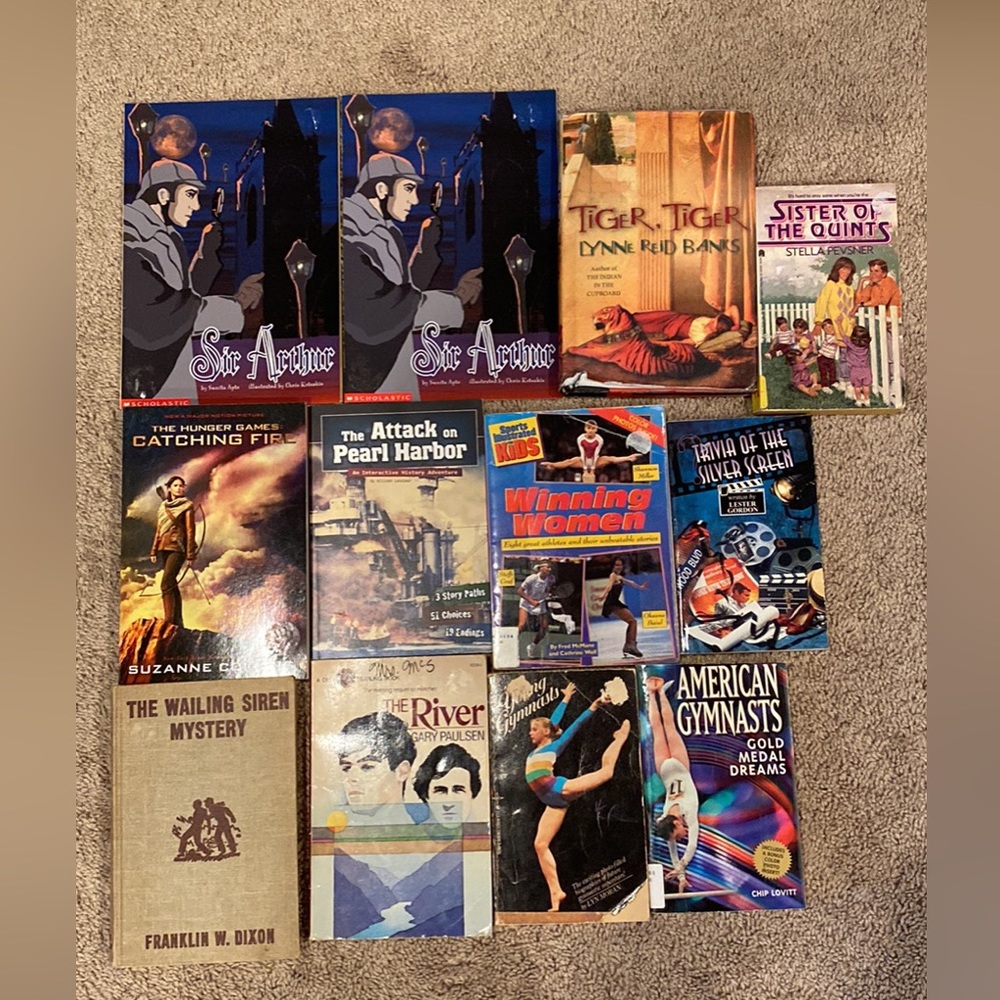 Older Kids Chapter Books